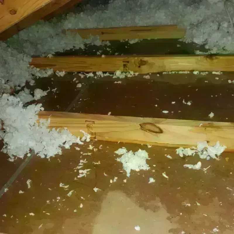 Attic Water Damage in Locust Grove, OK